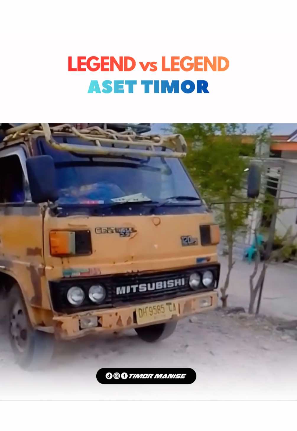 @timor manise