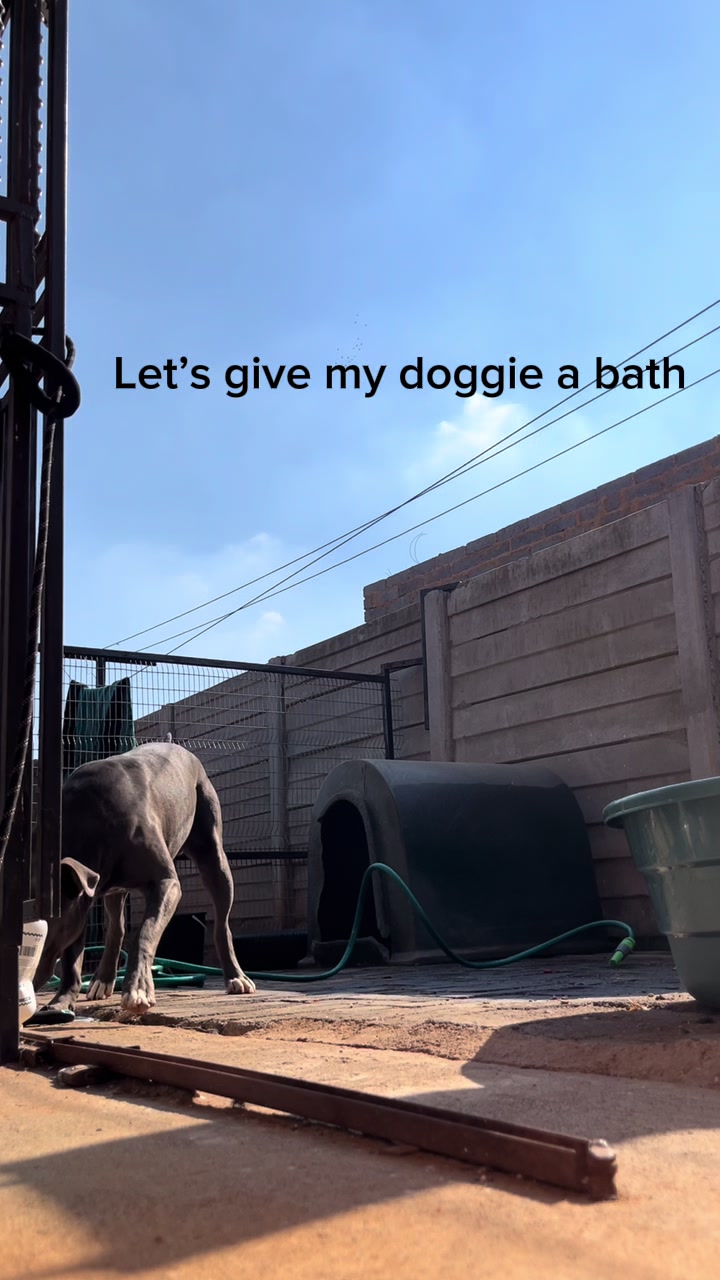 @Makgotso._