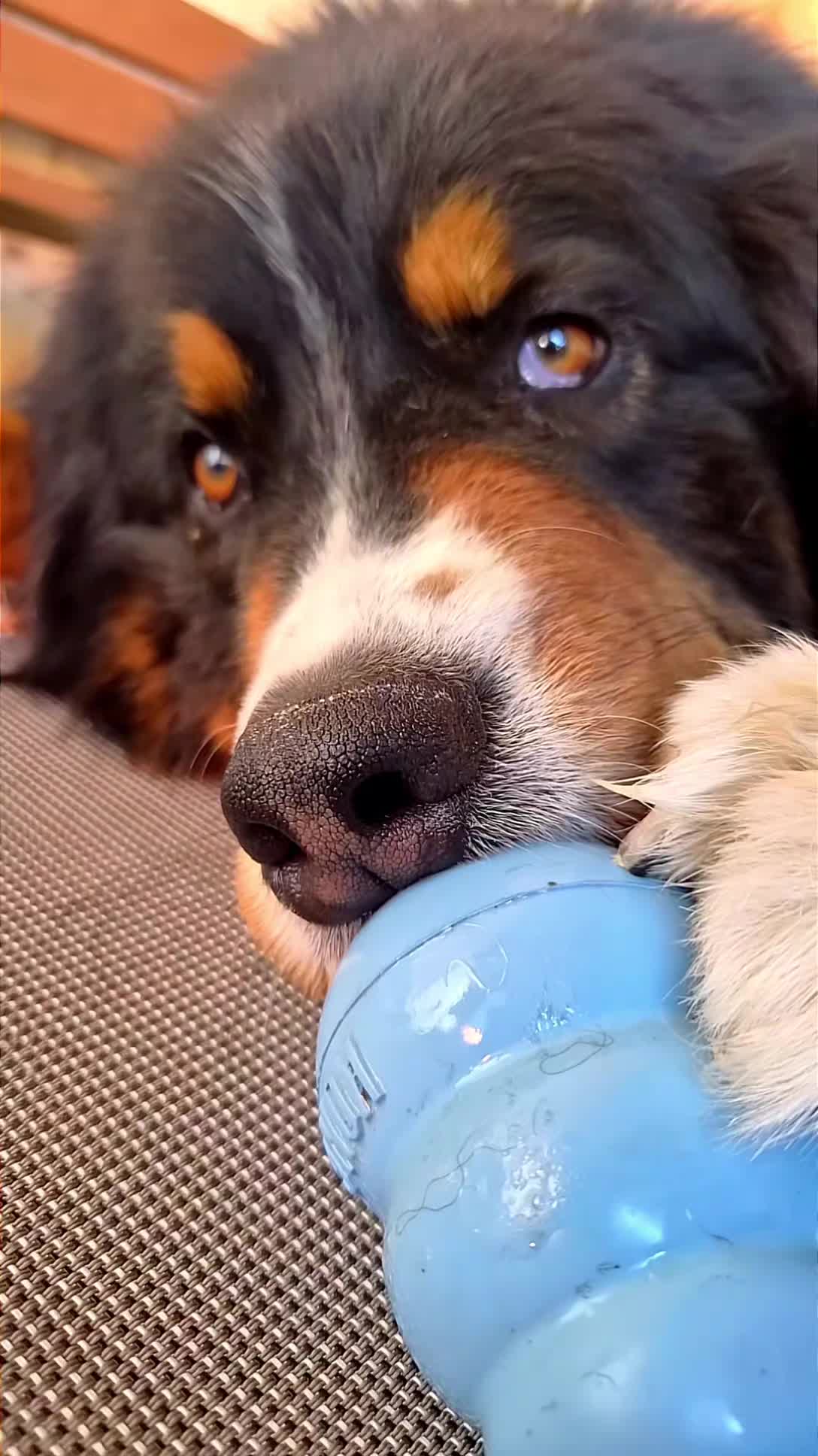 @berner.bruno