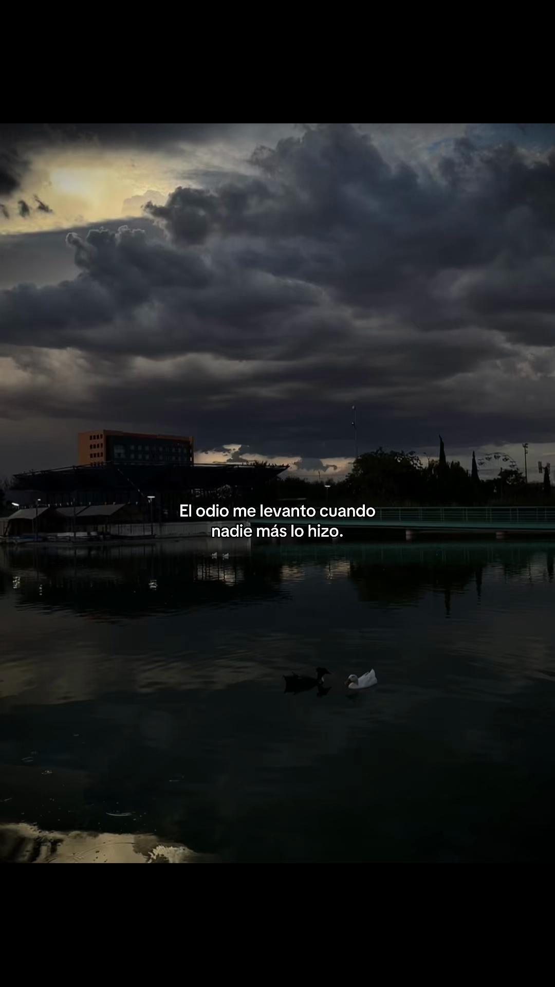 @𝙏𝙧𝙪𝙨𝙩 𝙉𝙤 𝙊𝙣𝙚