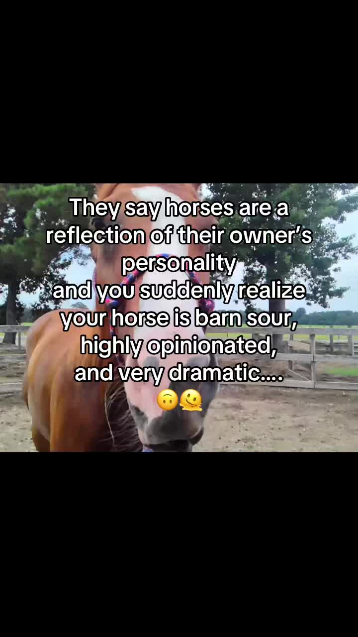 @Horselife