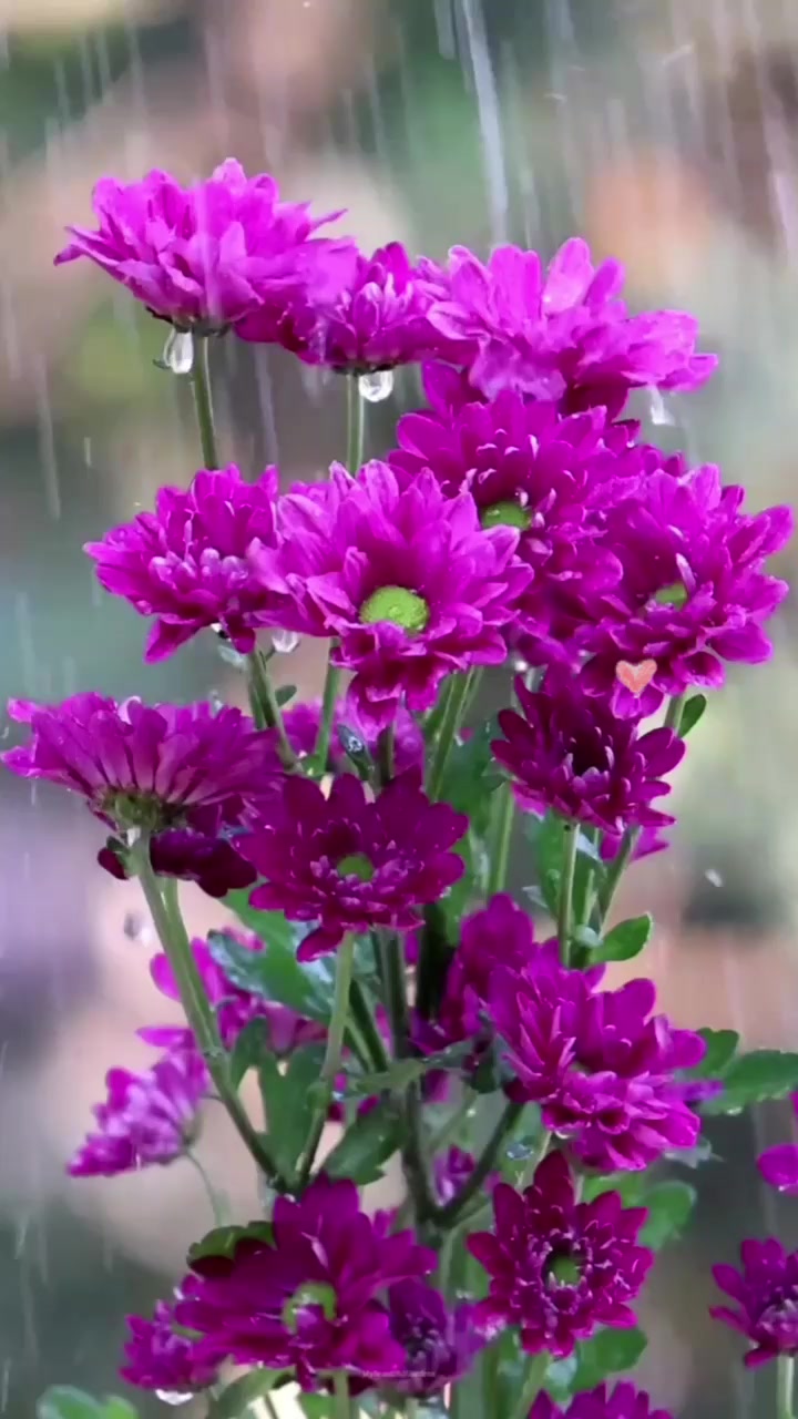 @Ganesh Prasad