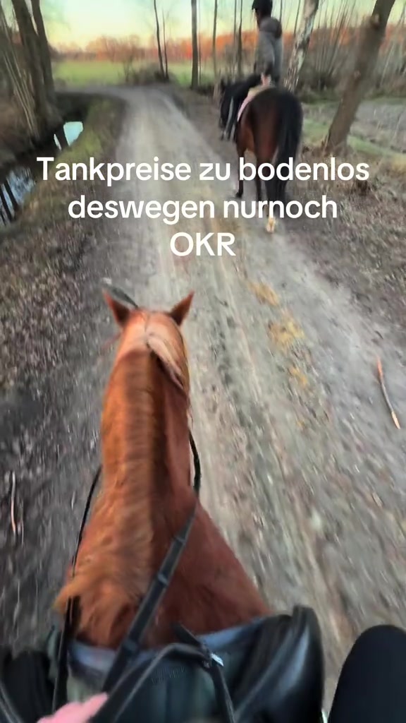 @mini 🐝