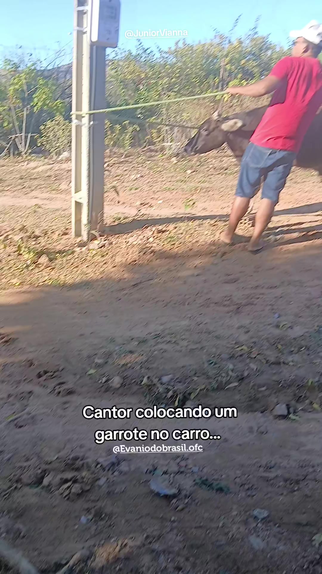 @Lucia Forte