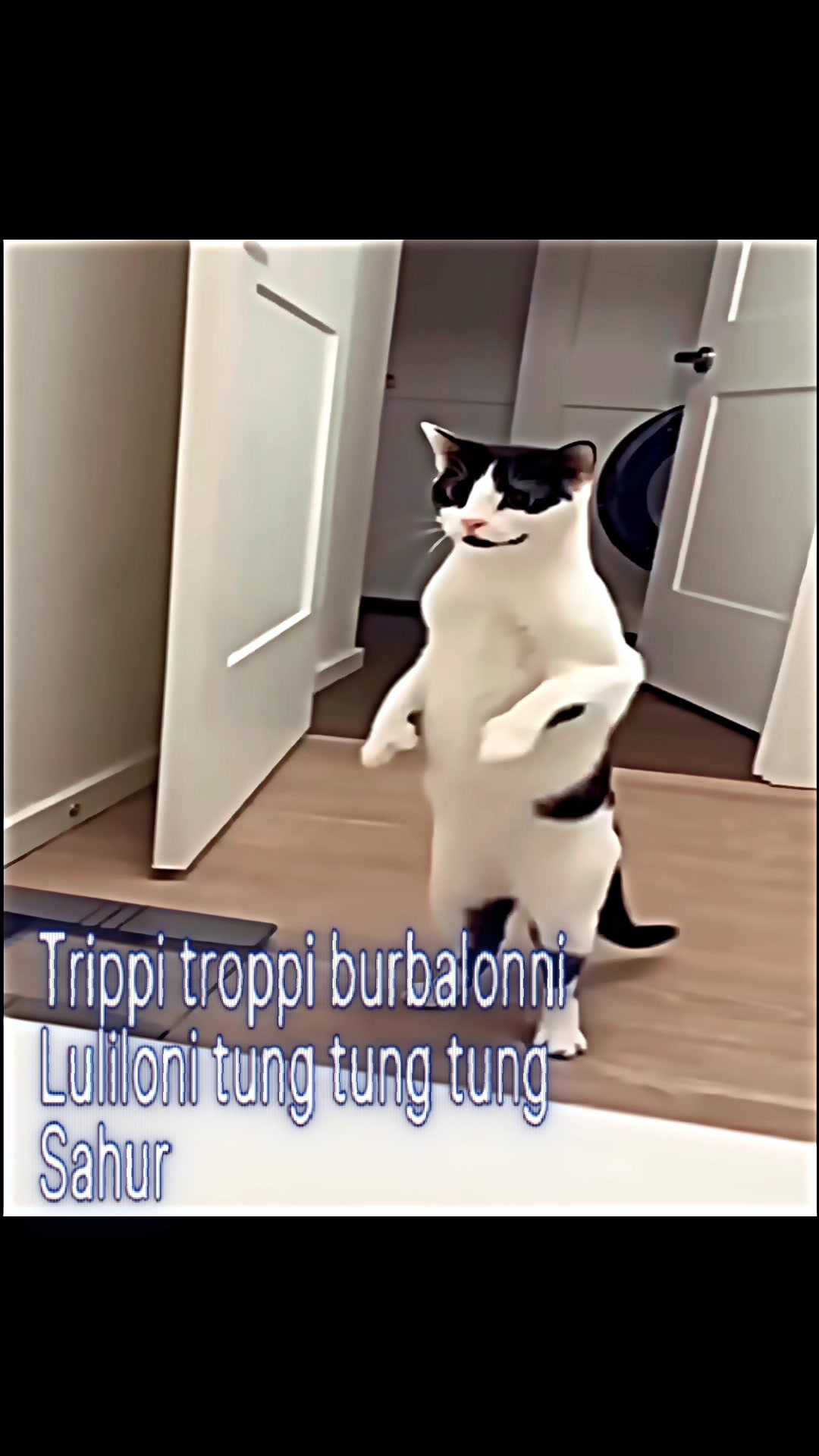 @โณโฏ๐๐๐ถ๐