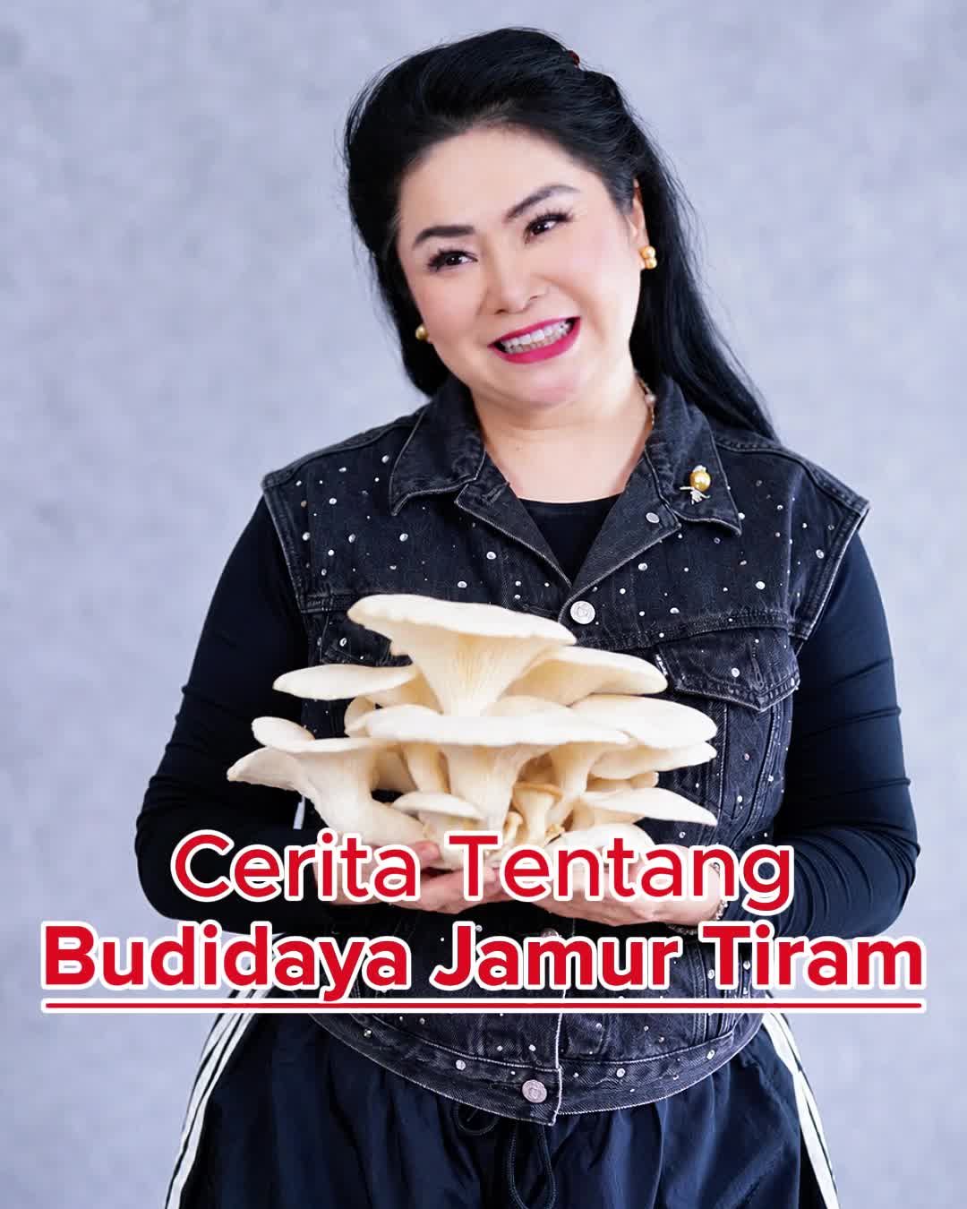 @Aiai & Daud