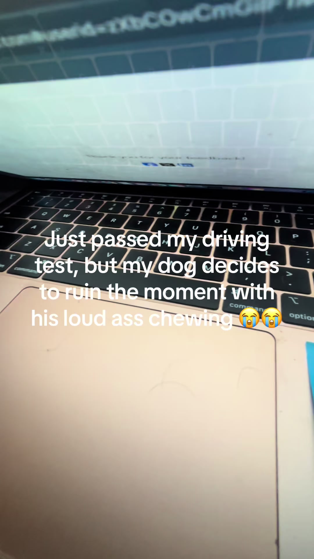 @conner01600
