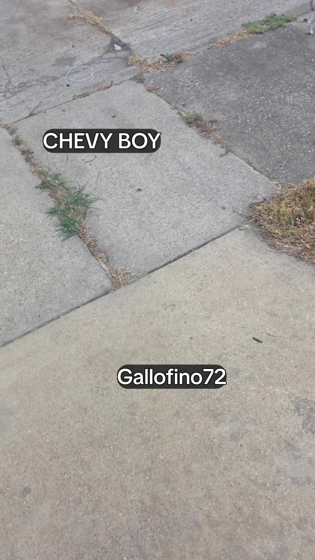 @ElGalloFino