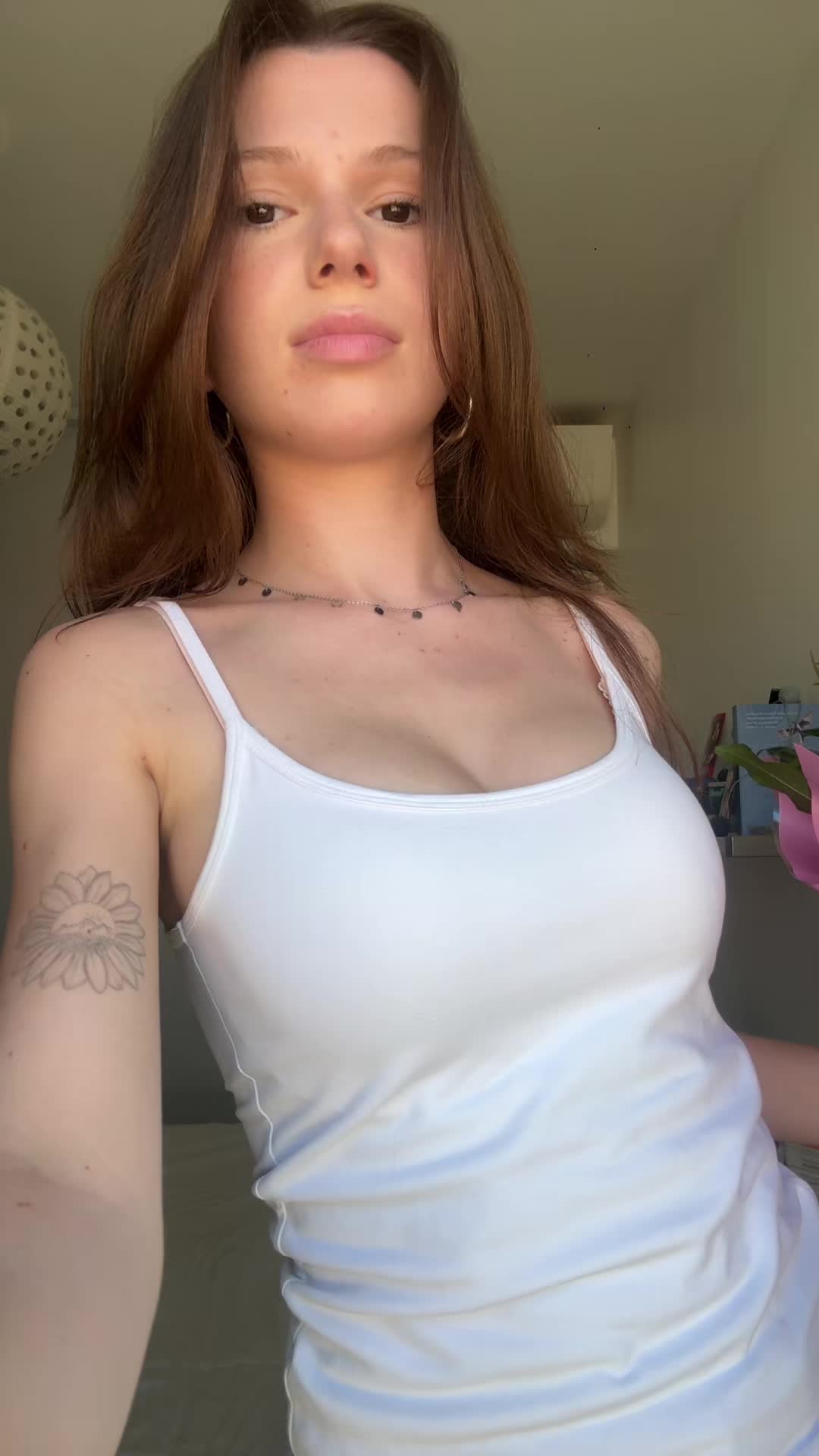 @apolline
