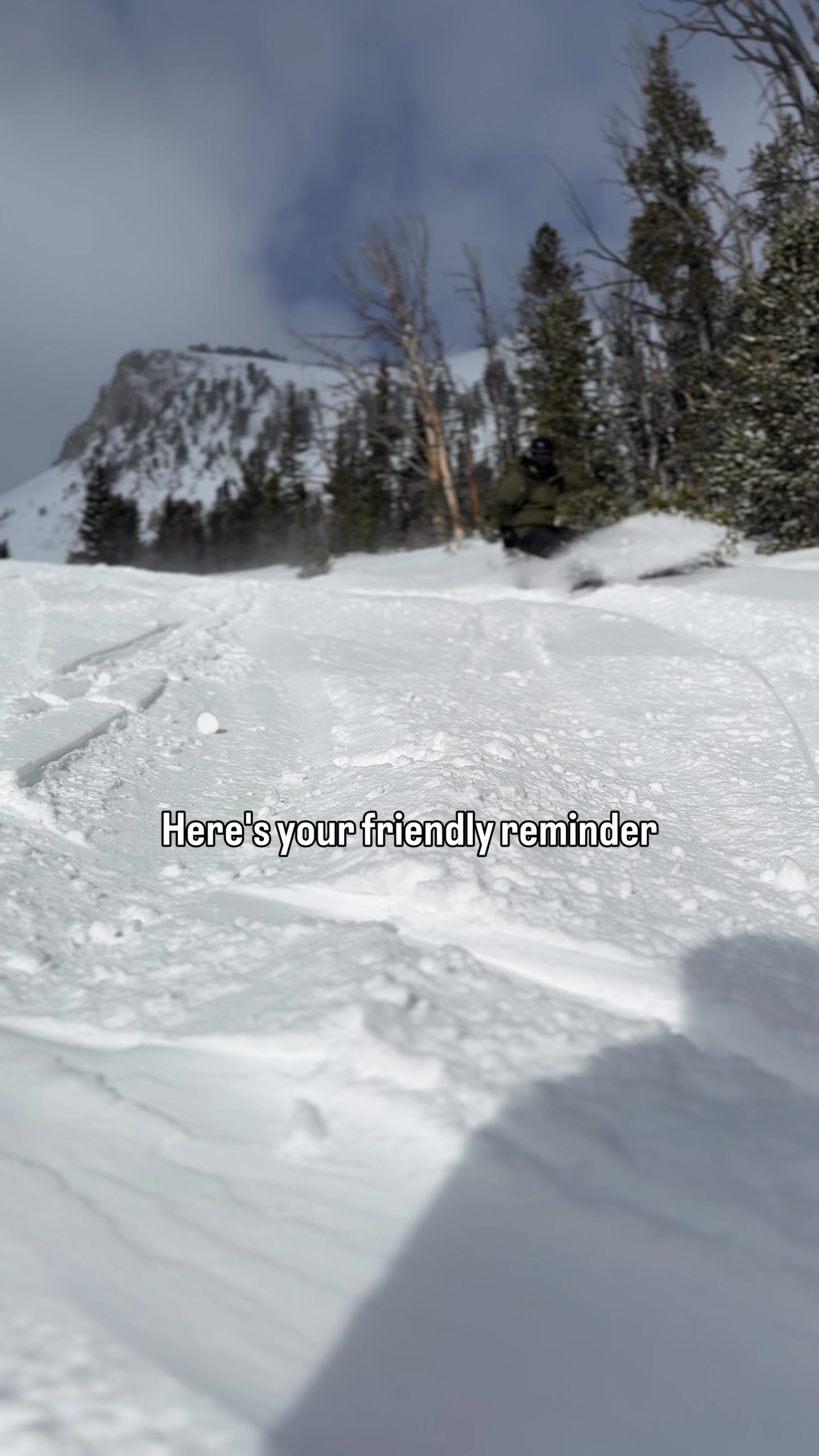 @VisitBigSky