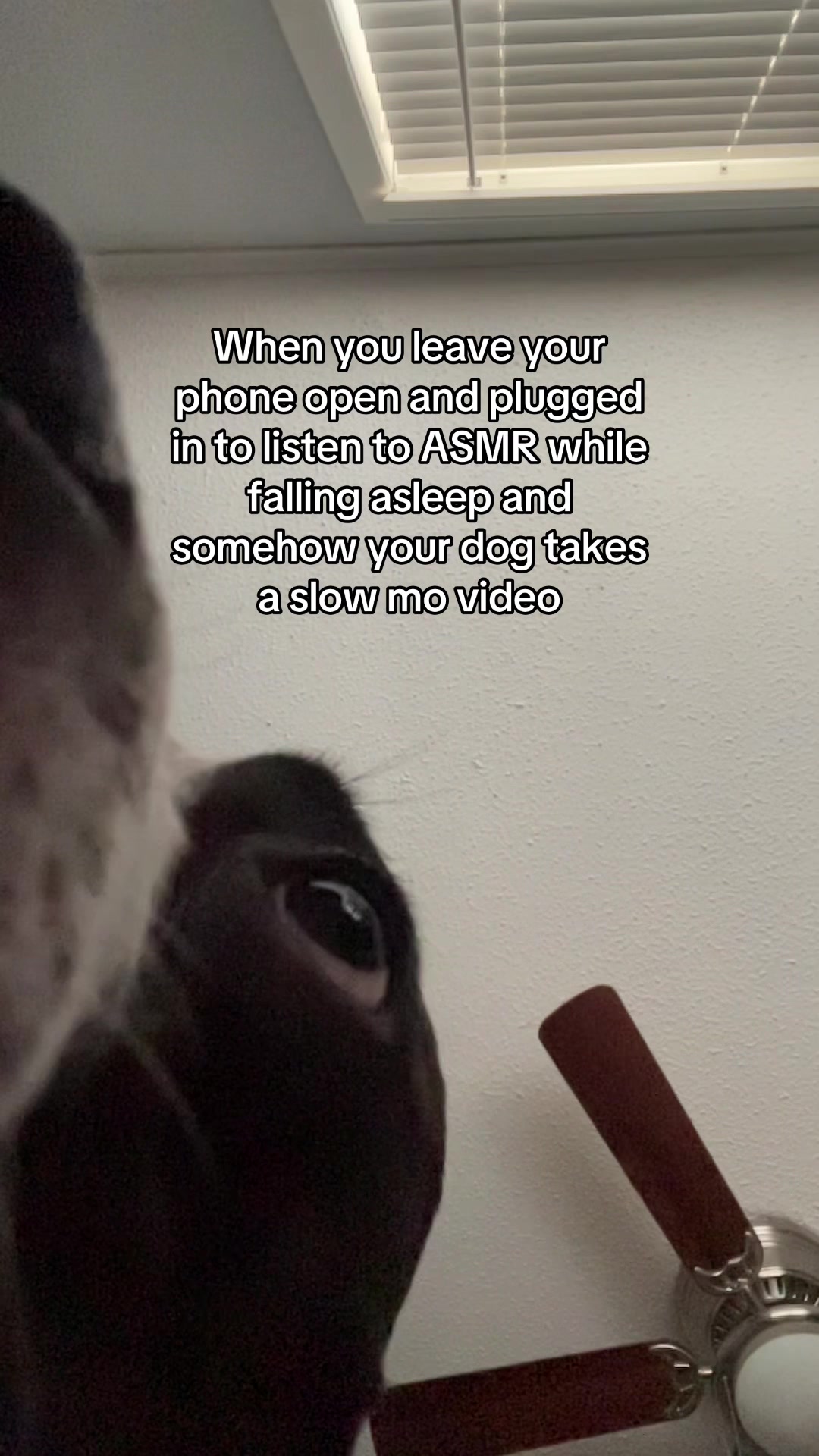 @Kath