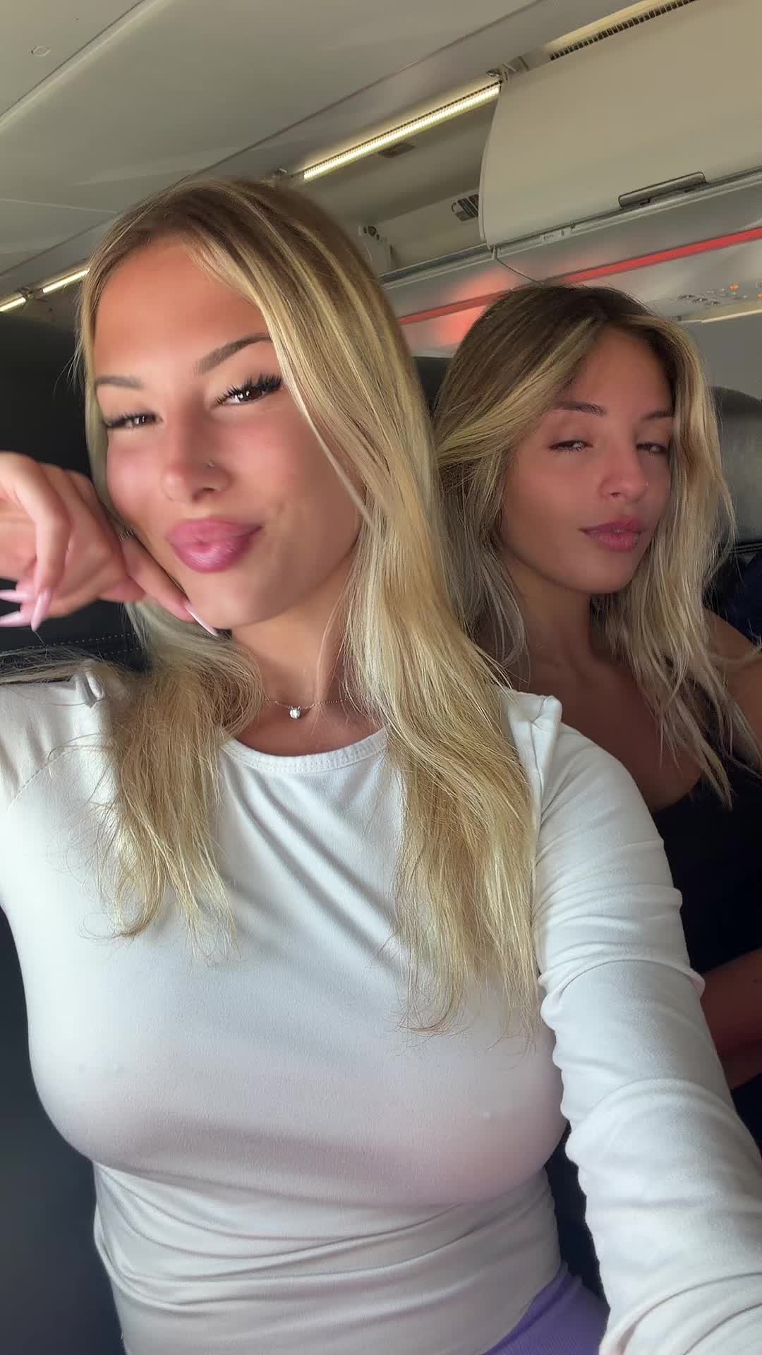 @alidipollo_
