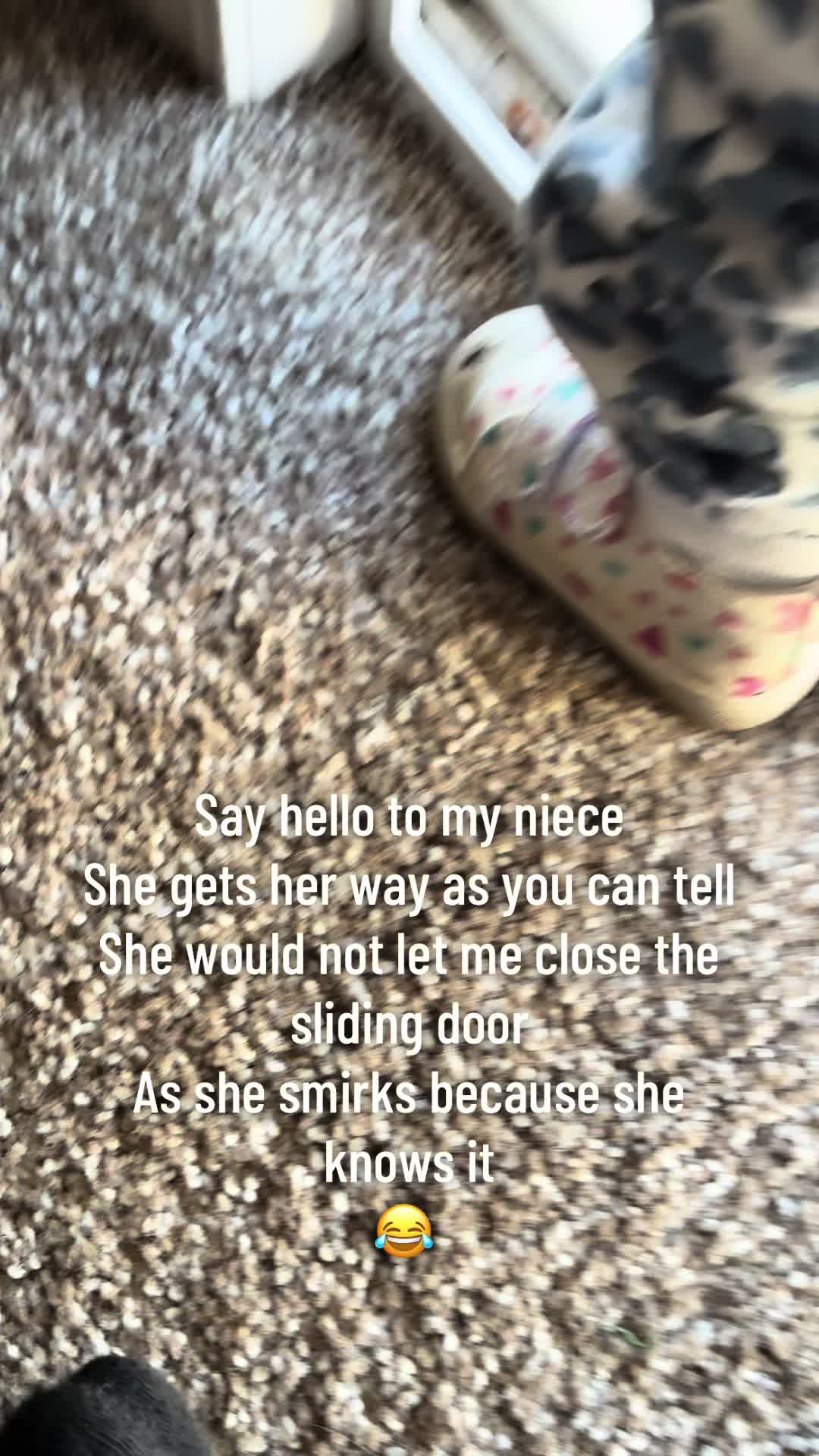 @teejaylachcik
