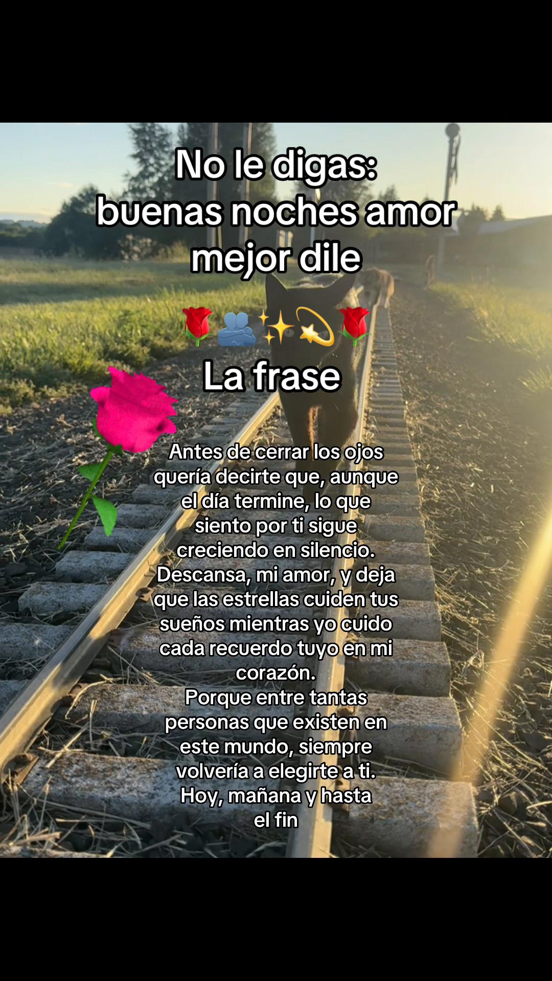 @pablocarbajal63