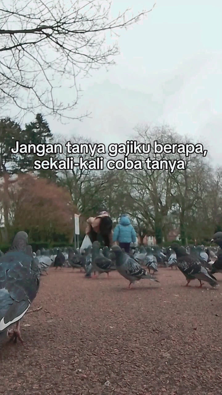 @Sally di Inggris 🇮🇩🇵🇱