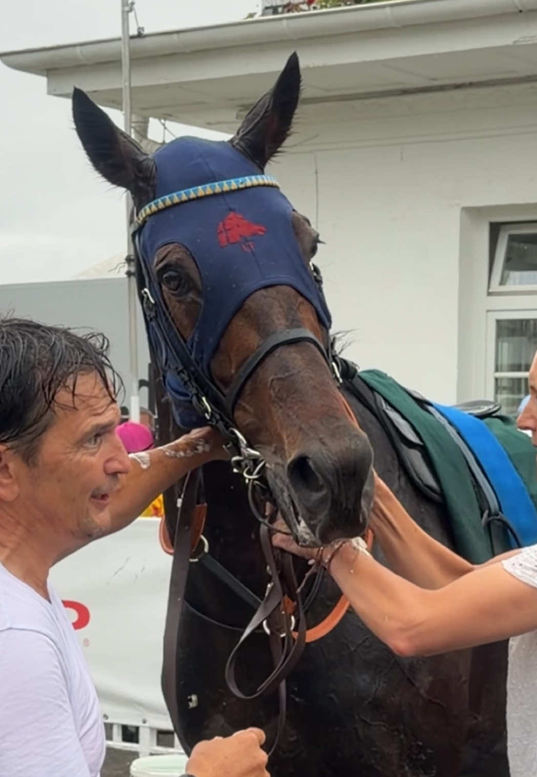 @Laura | German Horseracing