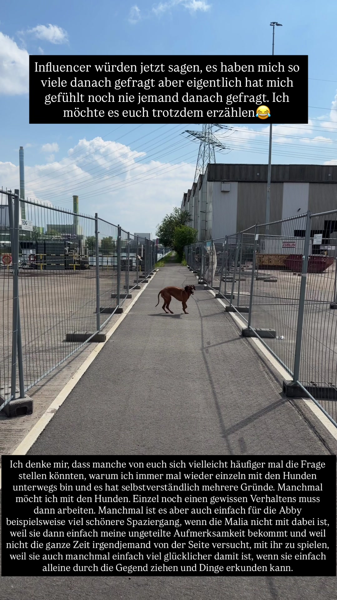 @Ridgeback Diaries