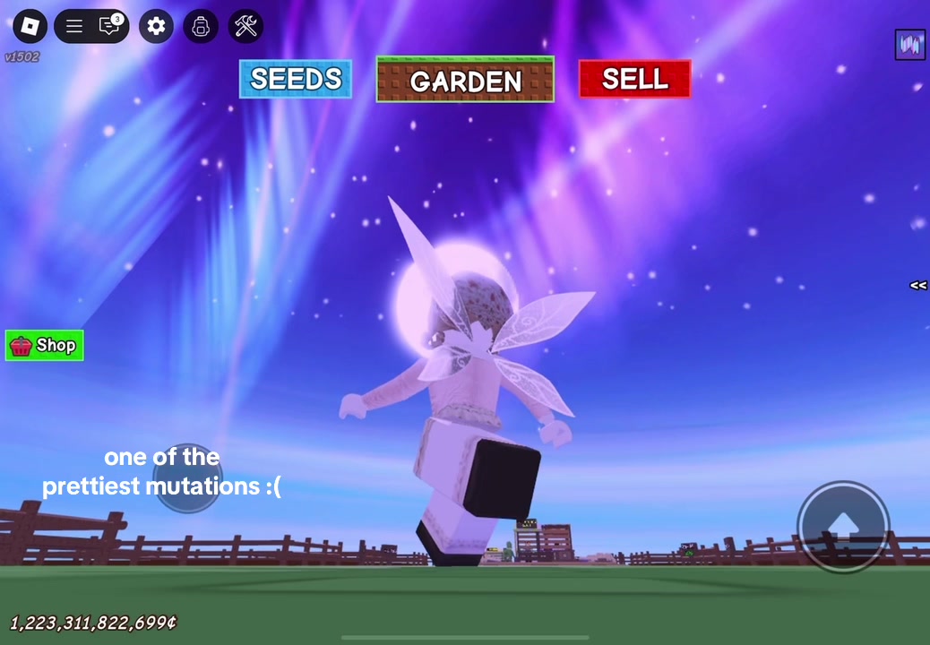 @maori ⟡