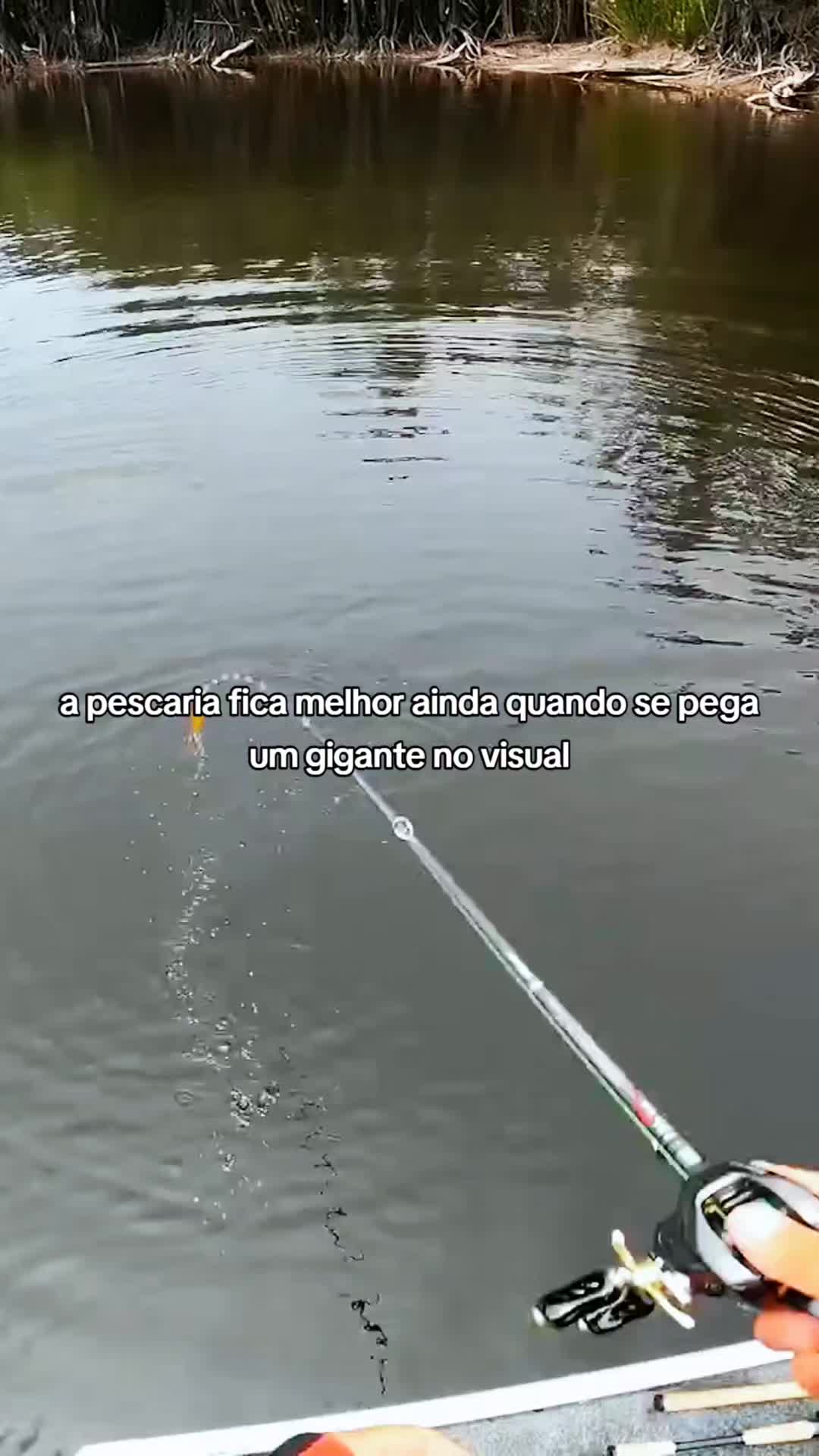 @Pesca Careiro