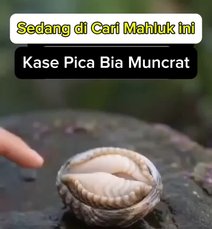 @EDHY DUWILA