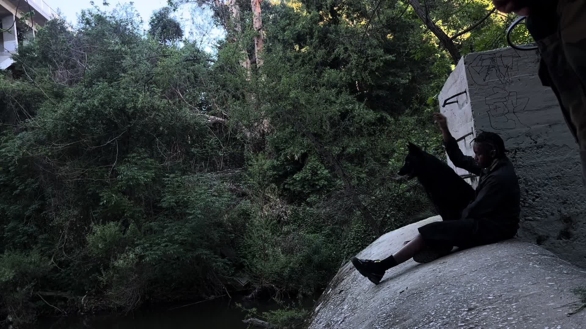 @montellfish