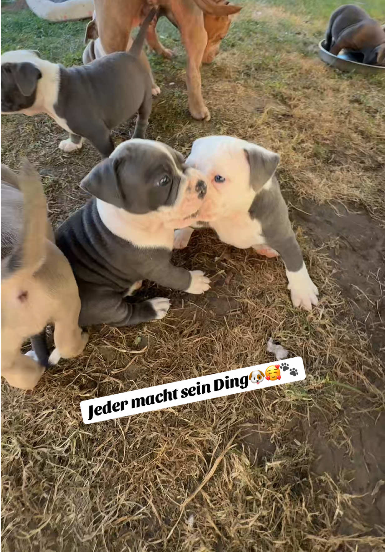 @Swetlana