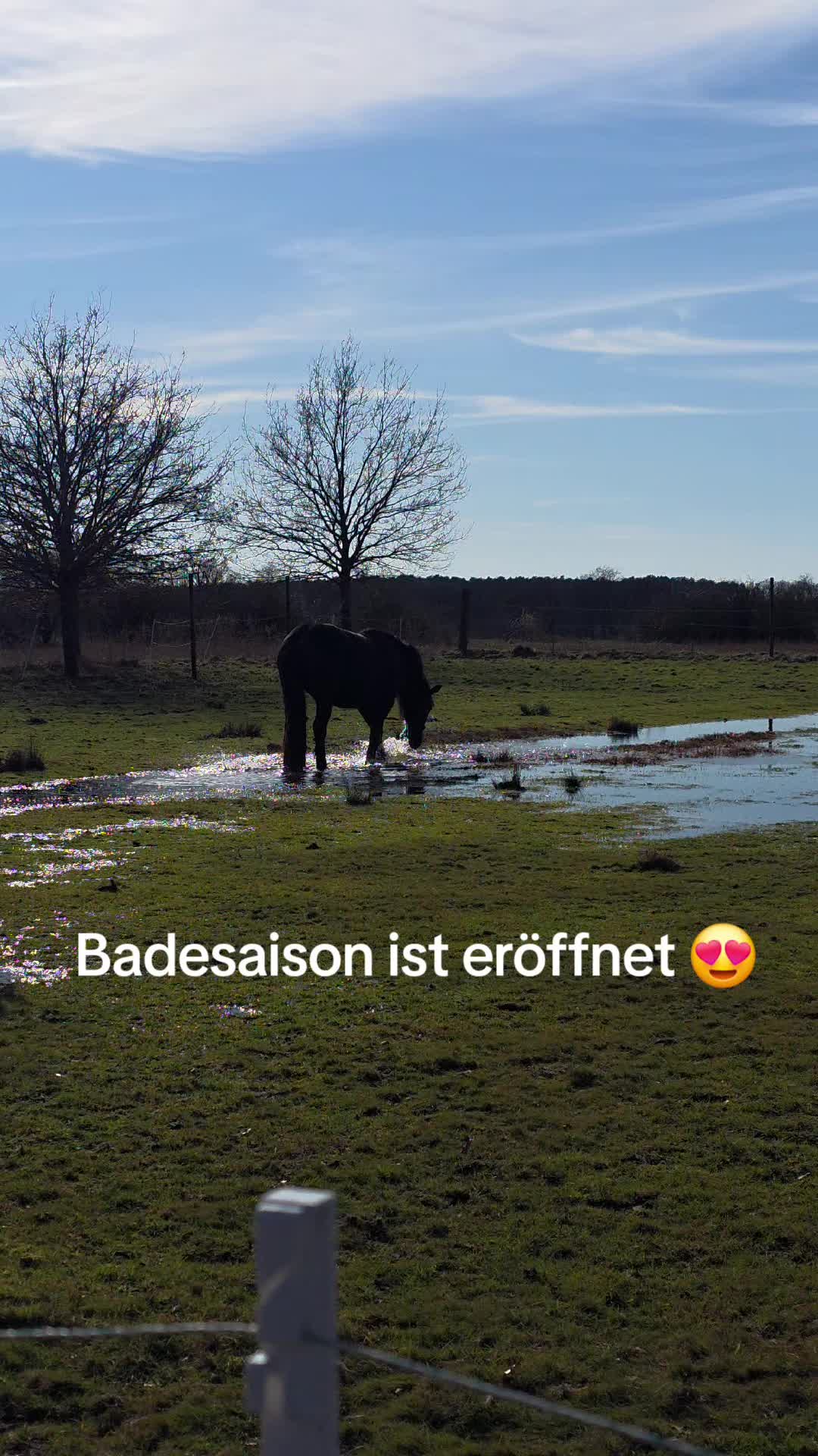 @die_van_fresserinchens