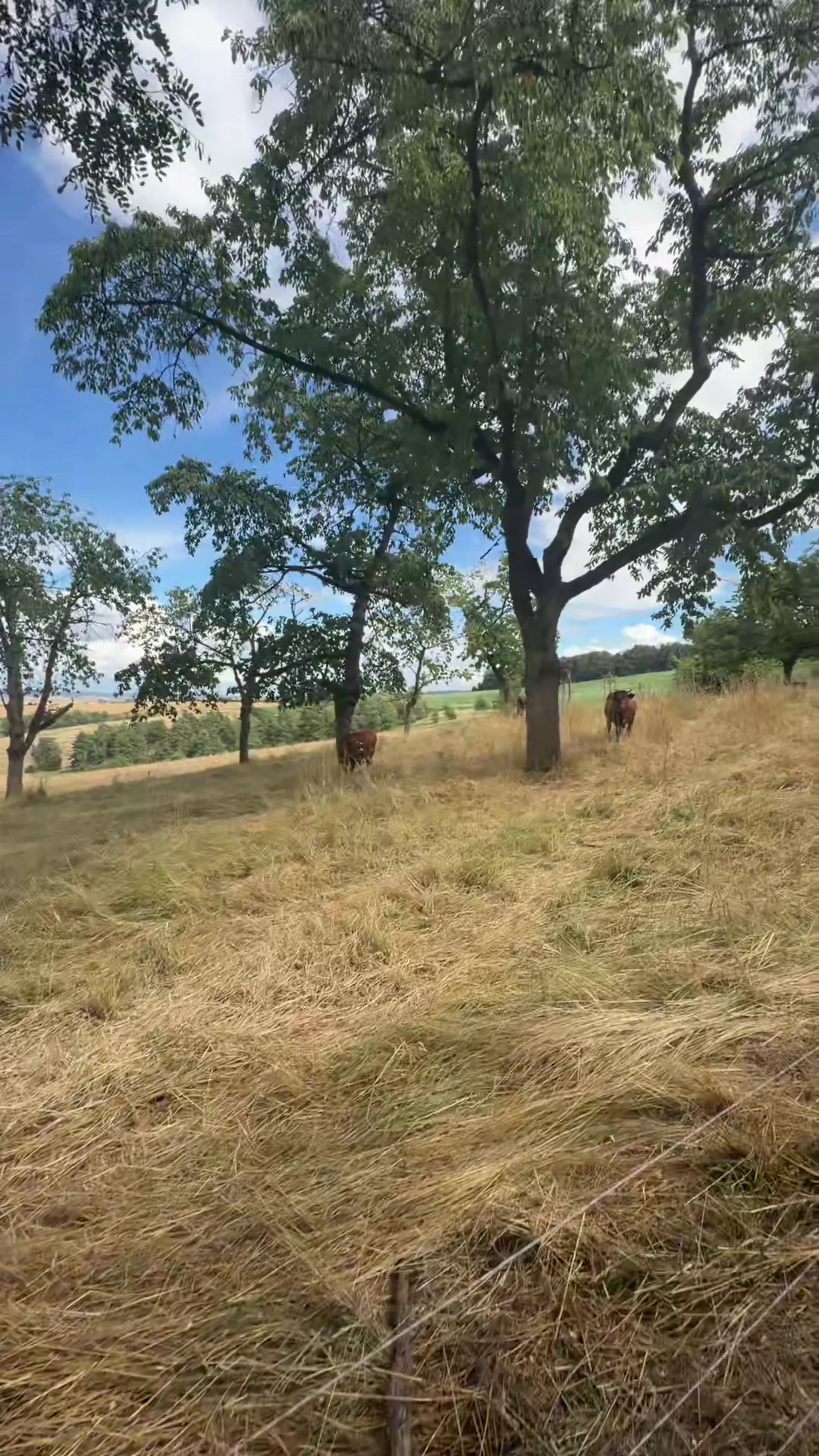 @Пара Економістів