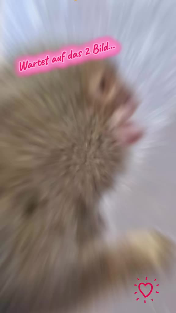 @Stephanie