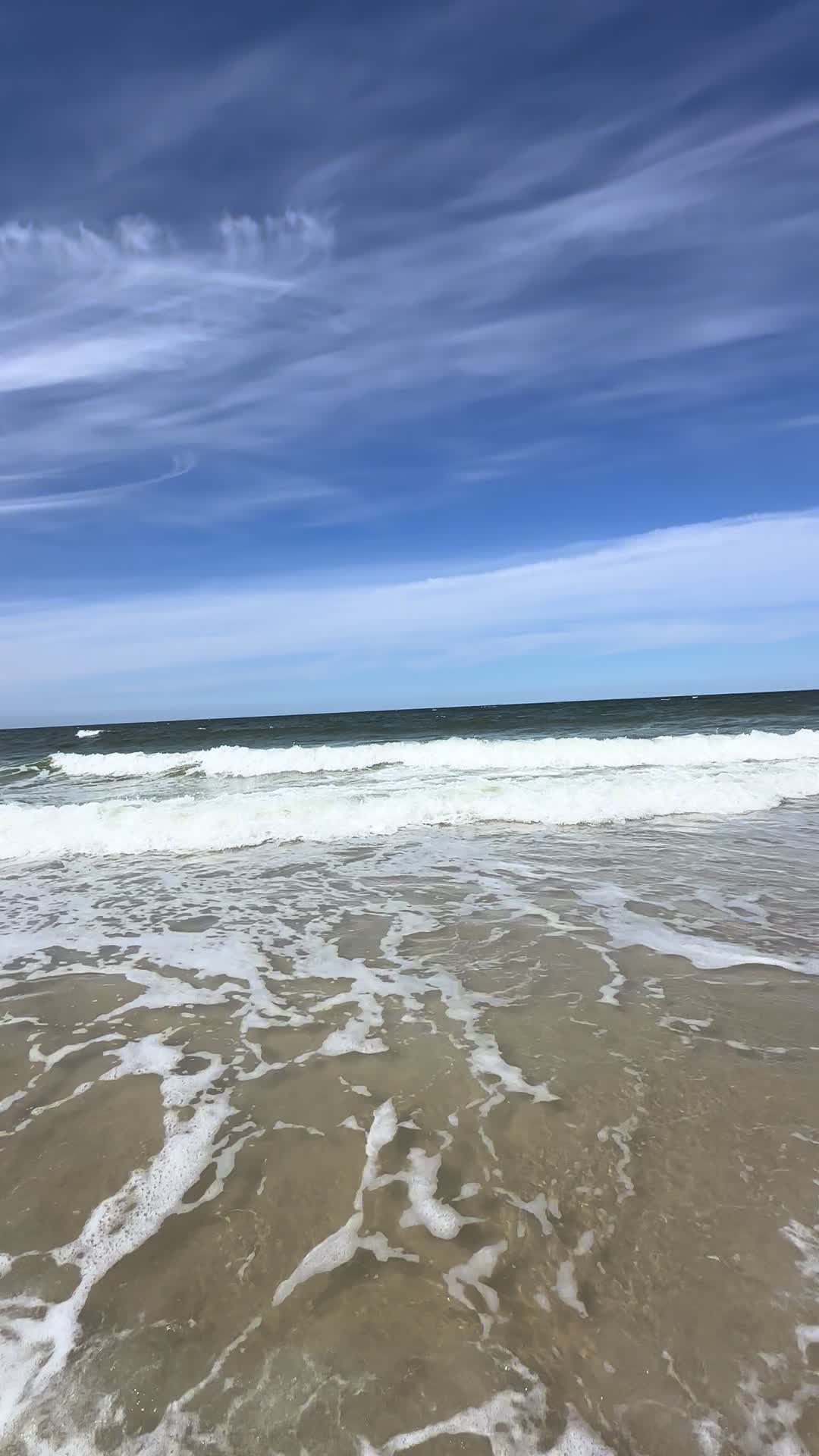 @tina.h7