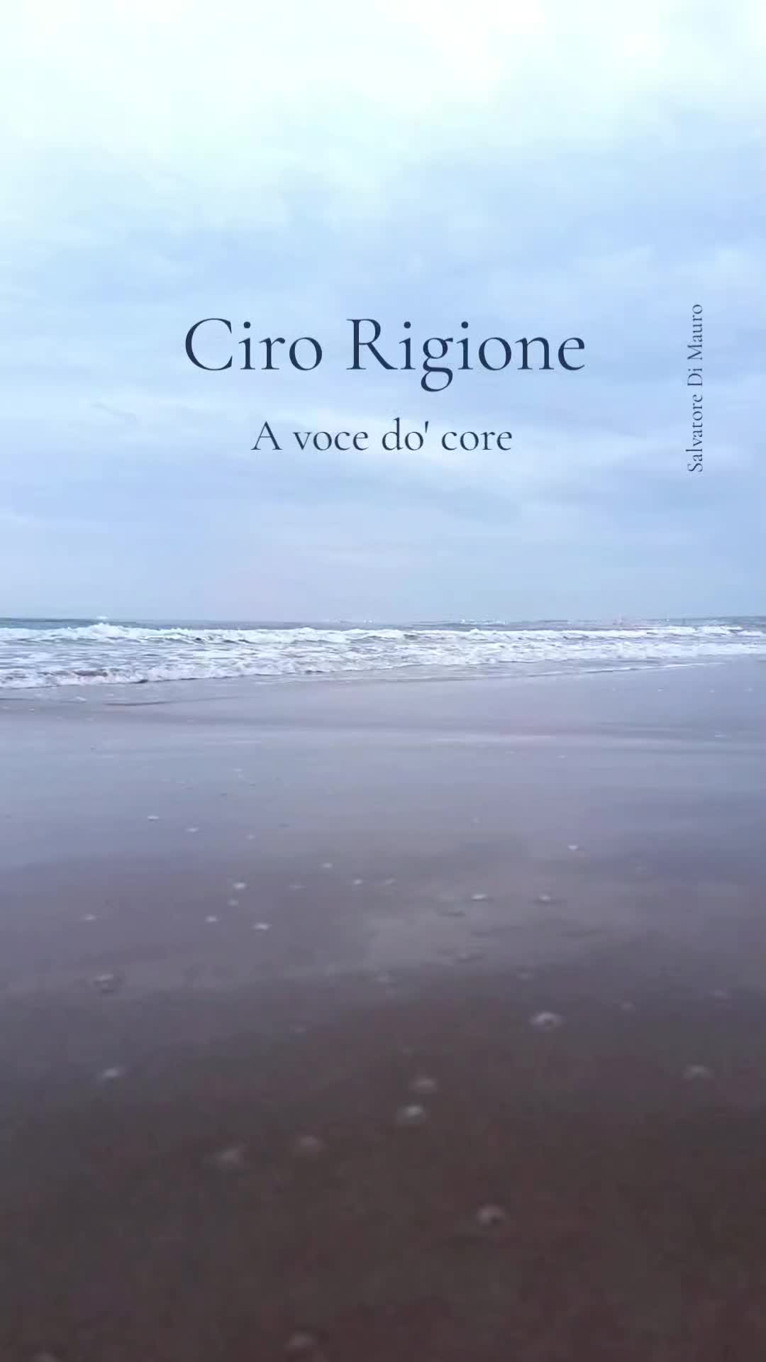 @Salvatore Di Mauro