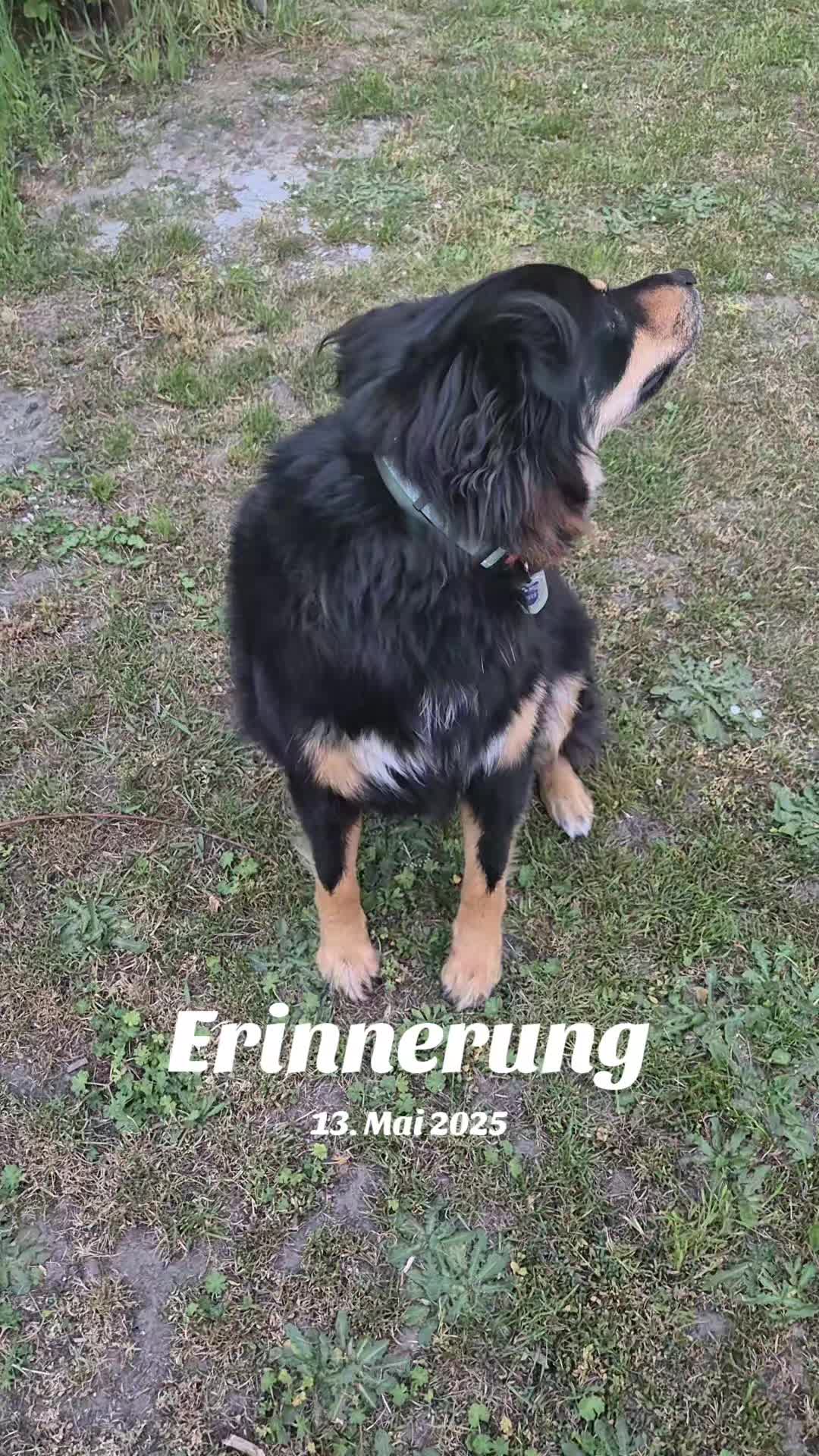 @Claire_Hund