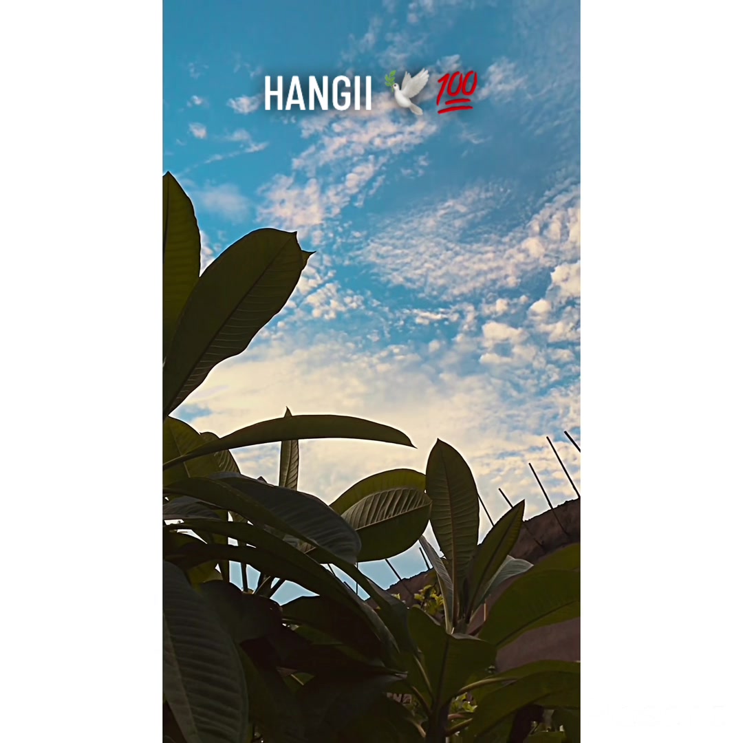 @پنجاب ❤️🩹