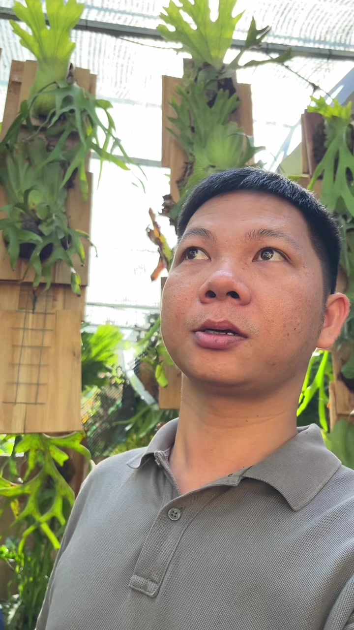 @Huy Kiểng L&aacute;