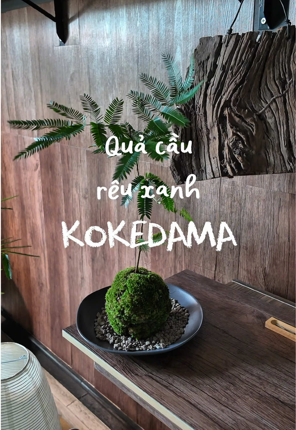 @Bảo tàng lá