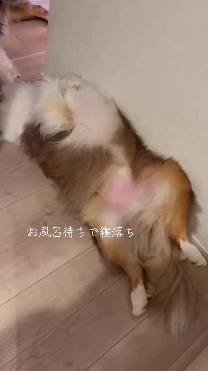 @サン&タマ
