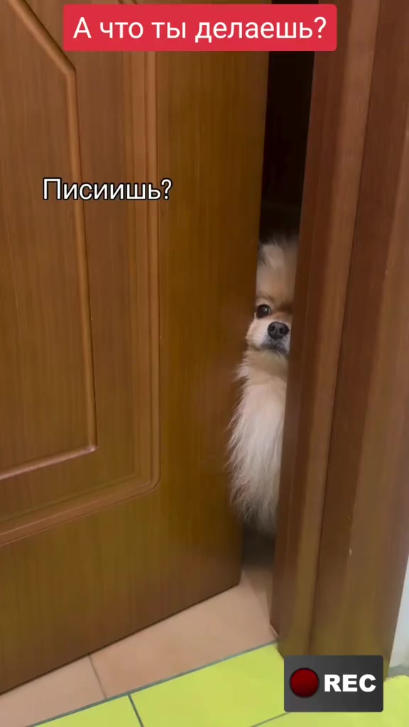 @Лариса