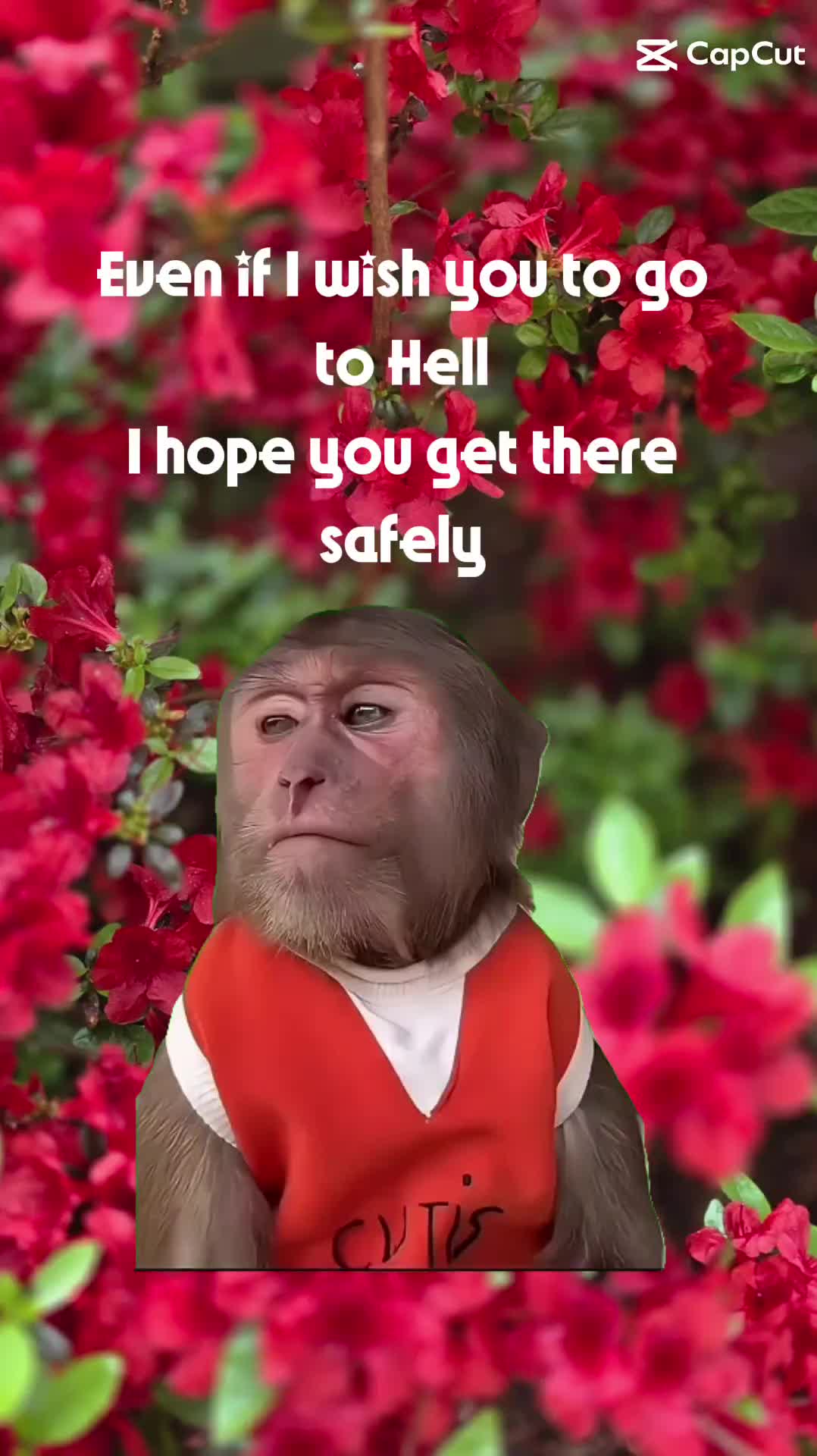 @OverIt_71 ❌️