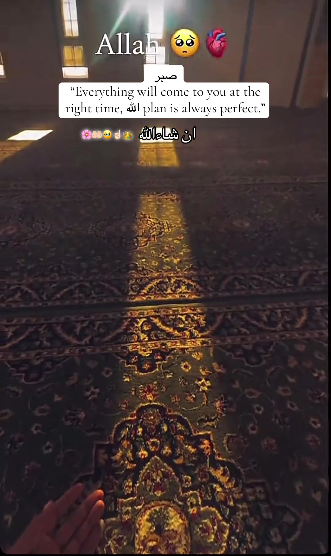 @👑🩺~Jannat~🤍🦋🇺🇸