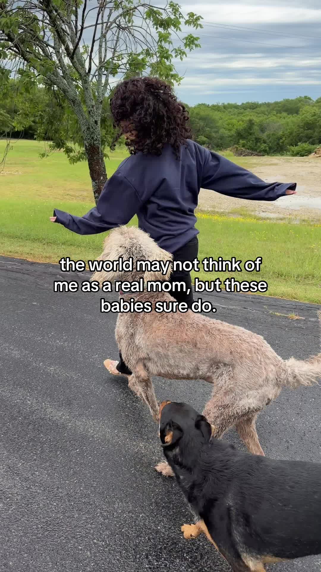 @hal