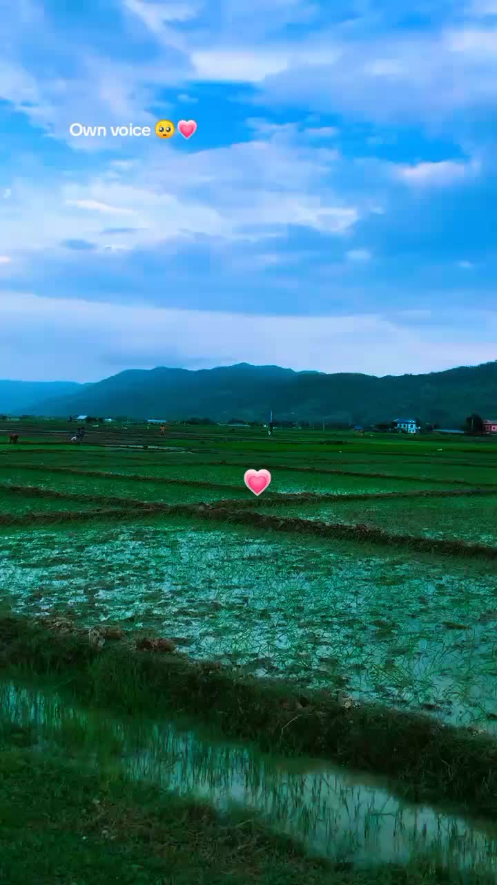 @—͞NᴀGɪɴ🌼 ᥫ᭡.