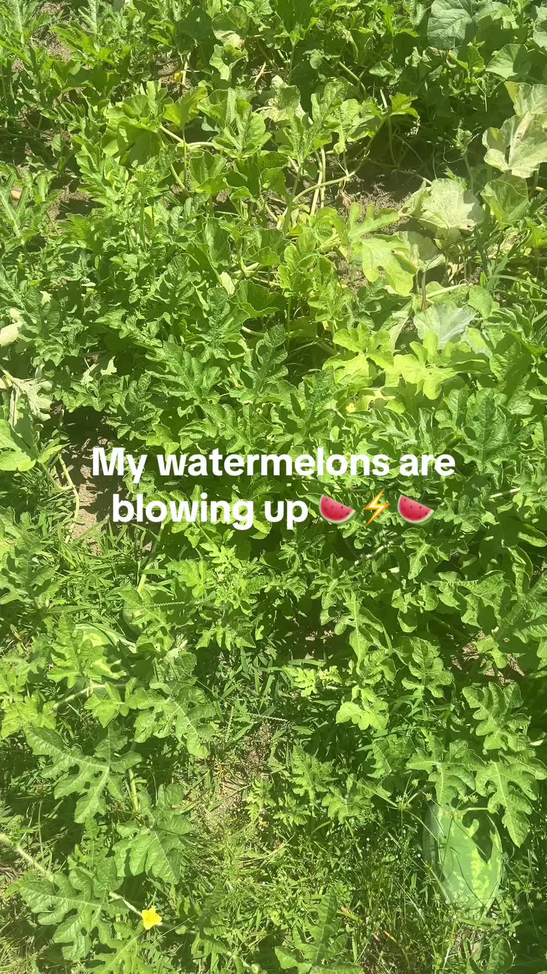 @Awakenedspirit