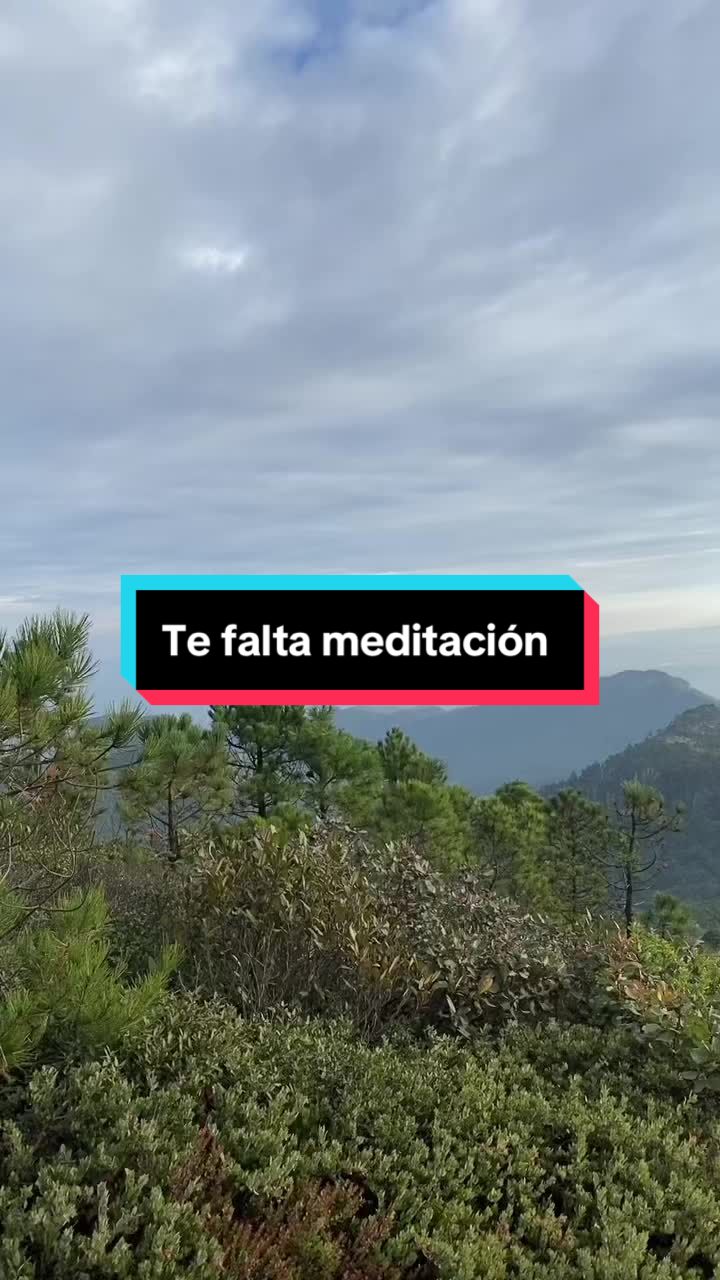 @Rompe el Muro