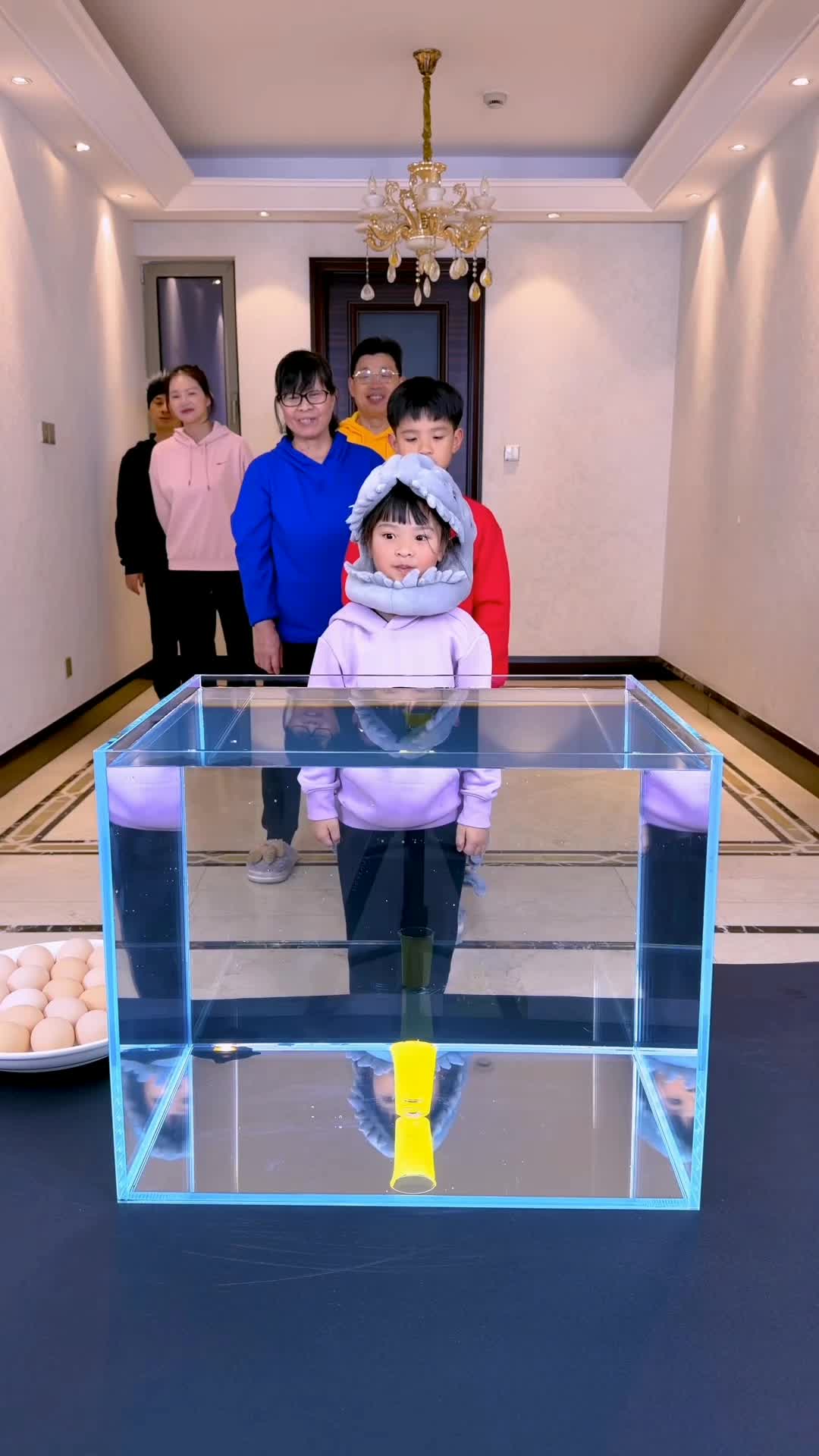 @AMAZING VIDEOS