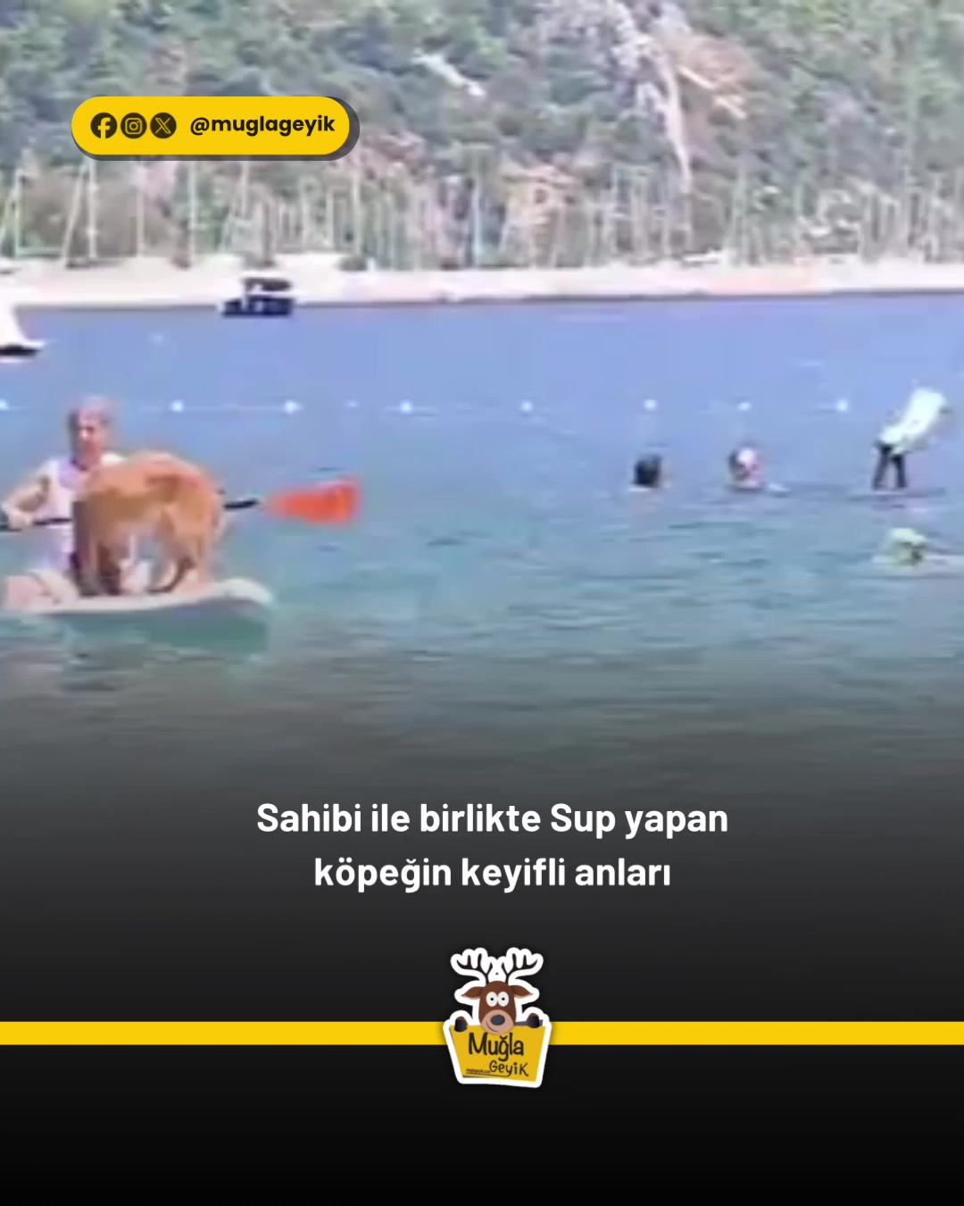 @Muğla Geyik