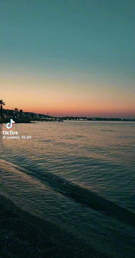 @sevidanmemis961