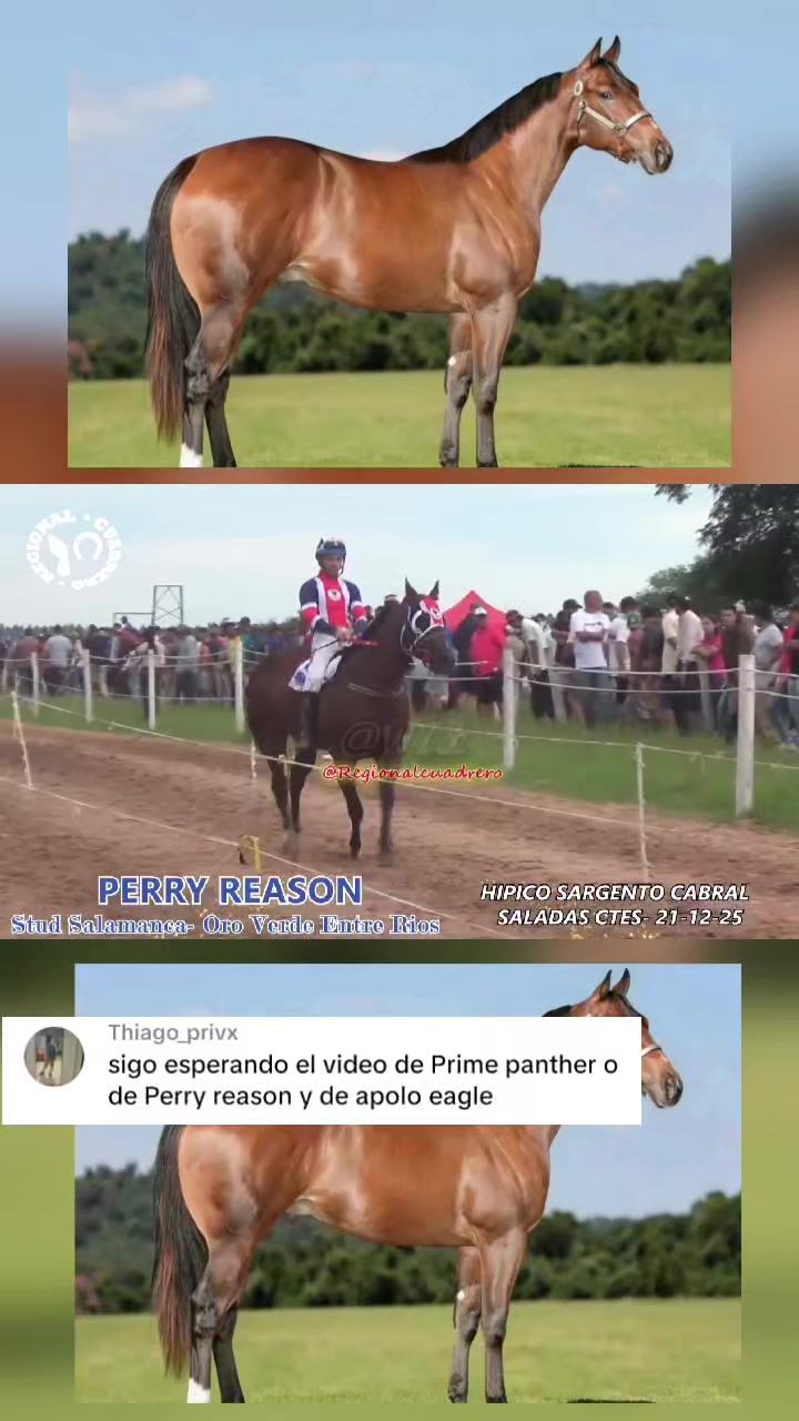 @WIL.🐎
