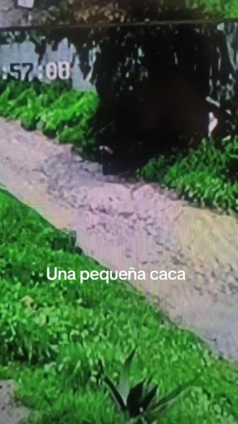 @Iv&aacute;ncito