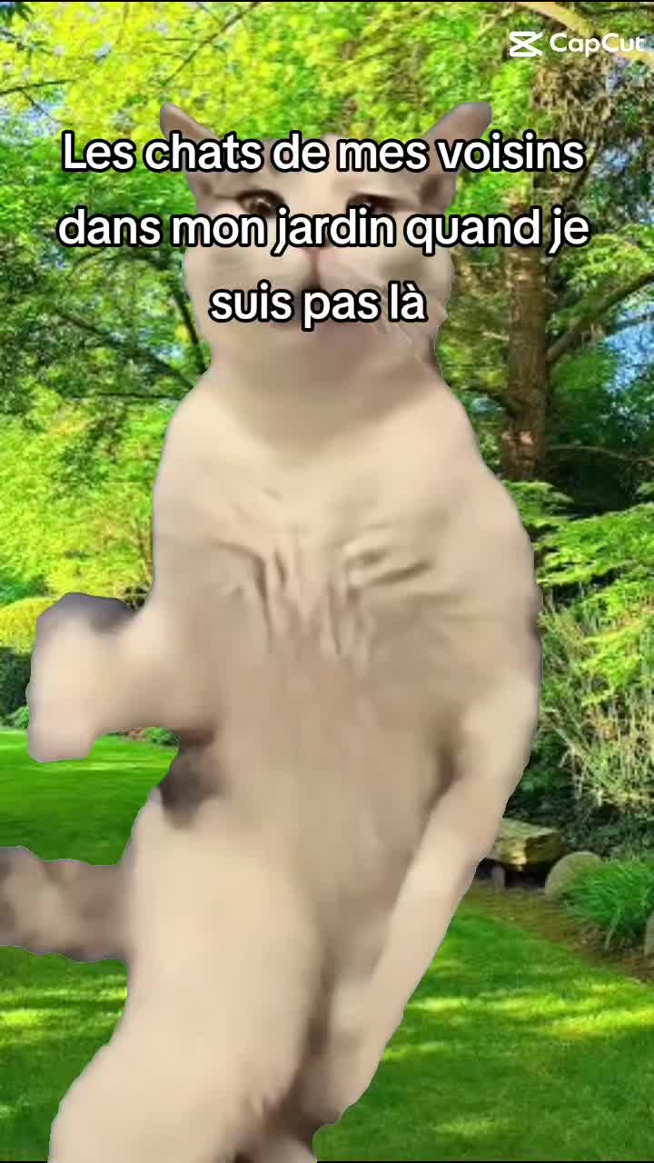 @Godar 13