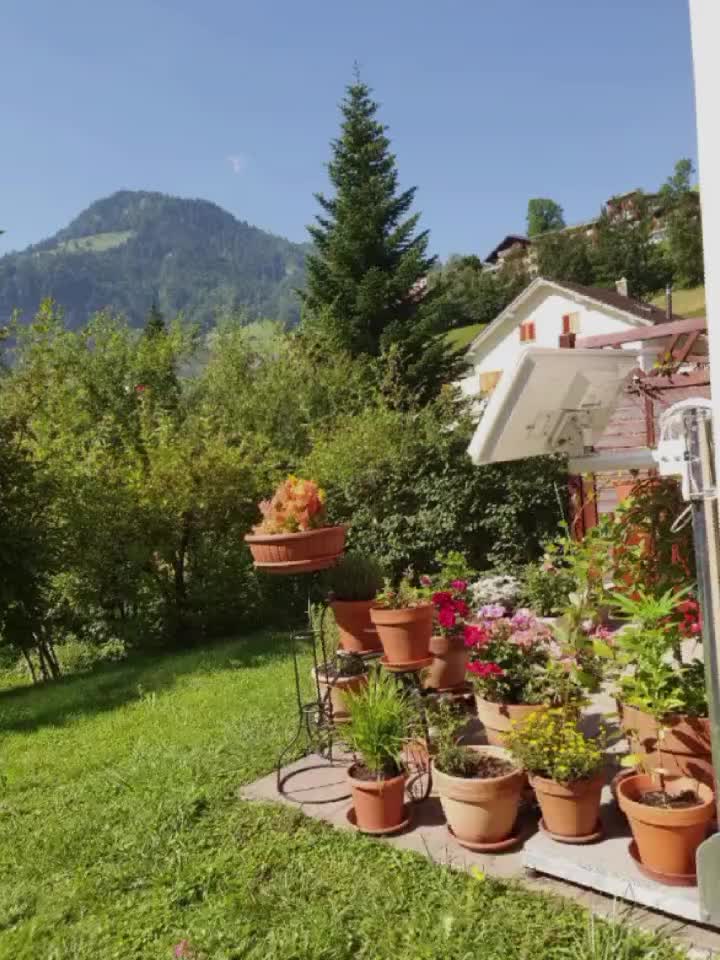 @🌷🦋Mukta 🦋🌺